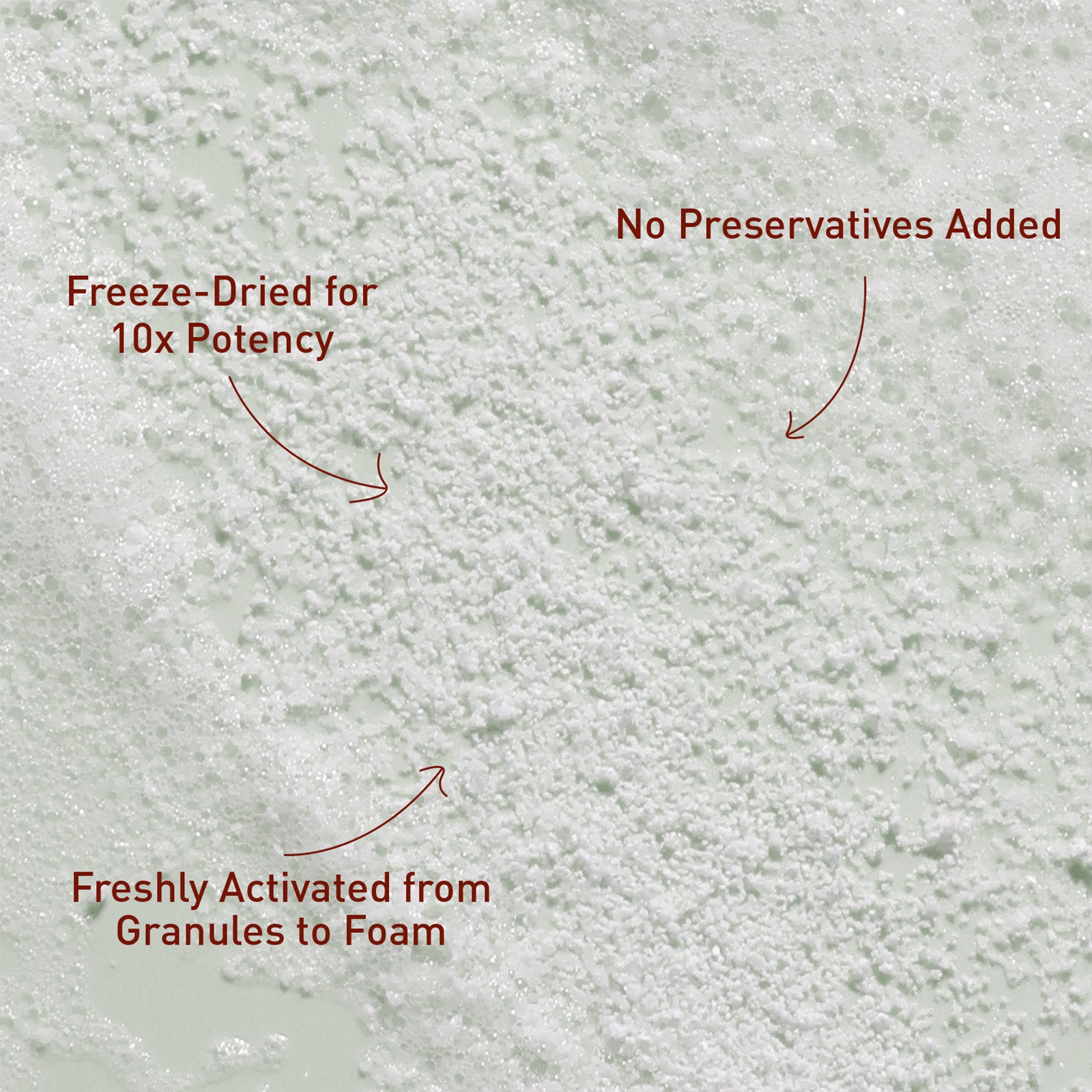 Voshbon Nourish Freeze-Dried Face Wash Voshbon Beauty