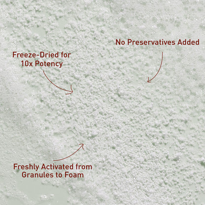 Voshbon Nourish Freeze-Dried Face Wash Voshbon Beauty