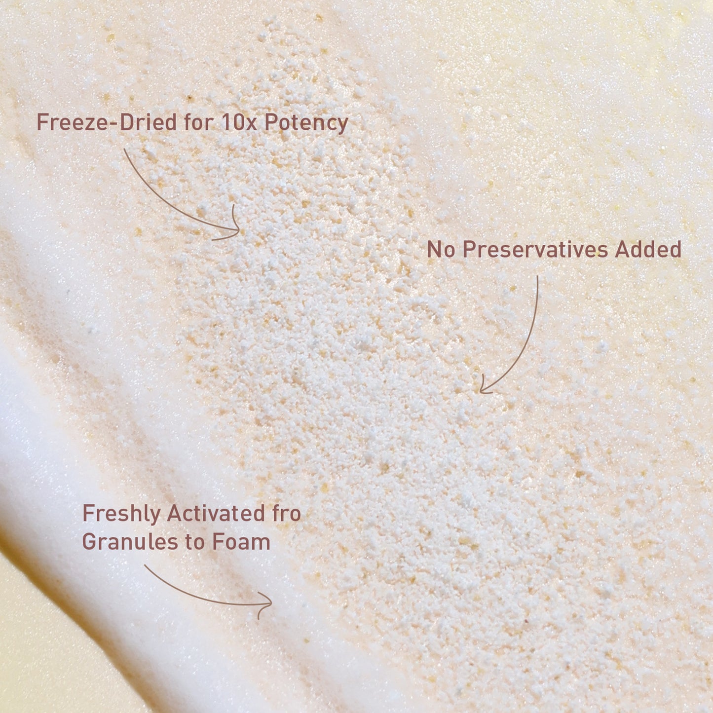 Voshbon Thicken Freeze-Dried Hair Wash Voshbon Beauty