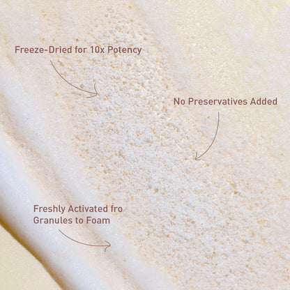 Voshbon Thicken Freeze-Dried Hair Wash Voshbon Beauty