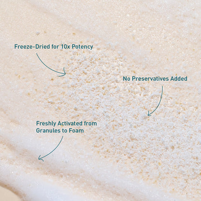 Voshbon Volumize Freeze-Dried Hair Wash Voshbon Beauty