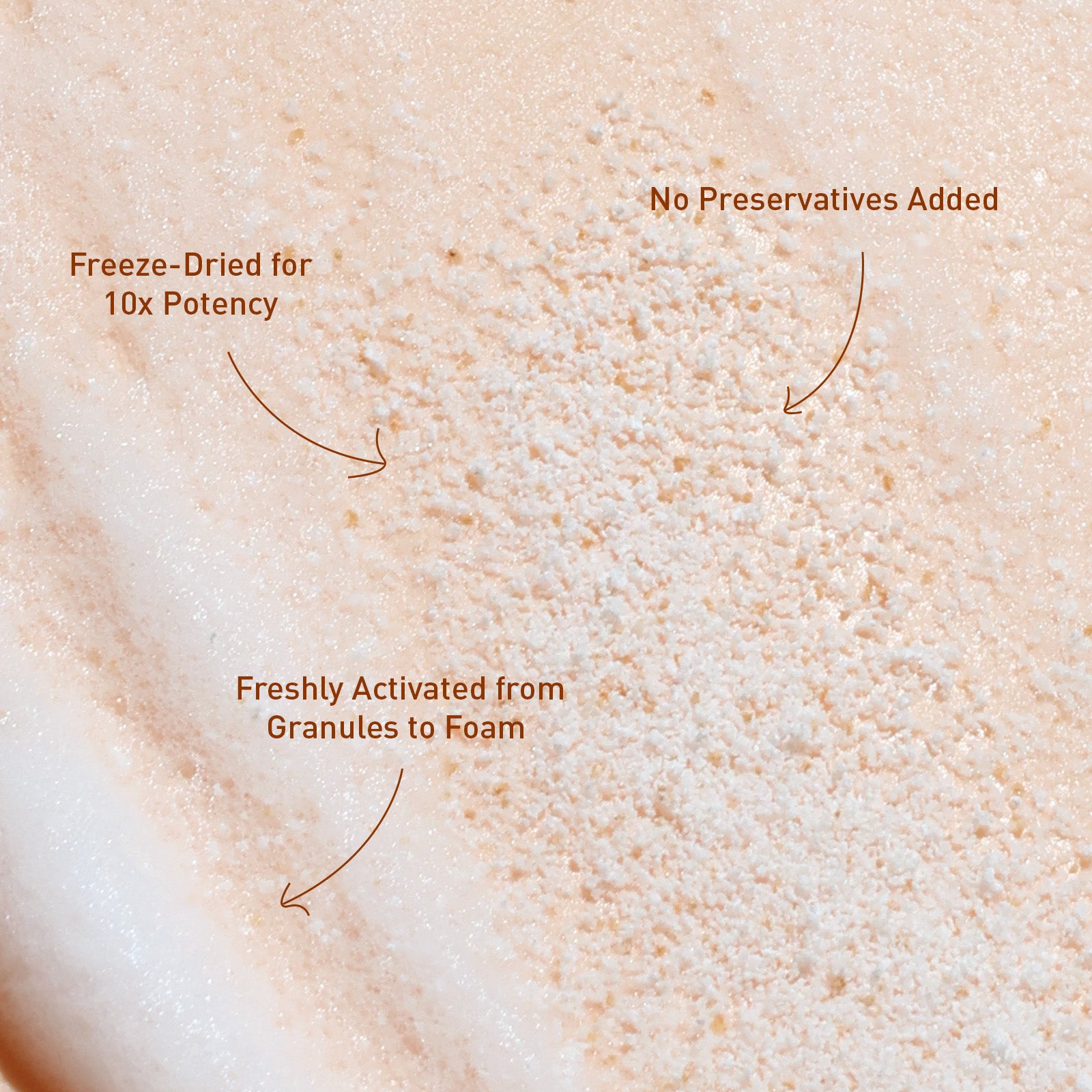 Voshbon Moisture Freeze-Dried Body Wash Voshbon Beauty