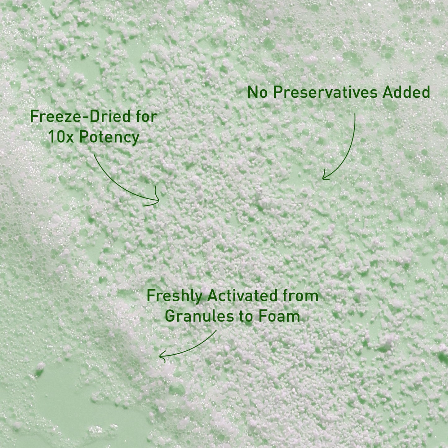 Voshbon Balance Freeze-Dried Face Wash Voshbon Beauty