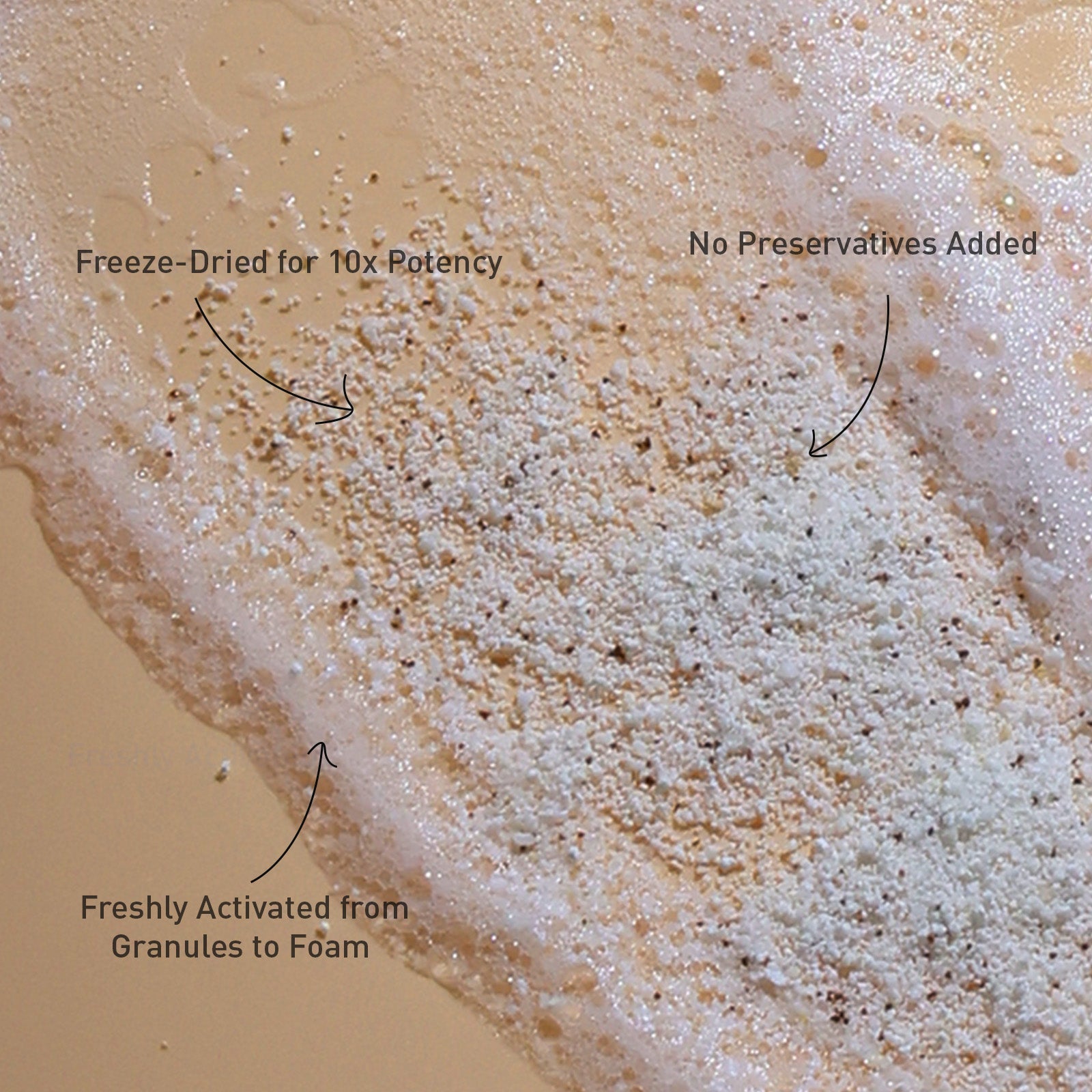 Voshbon Luminous Freeze-Dried Face Wash Voshbon Beauty