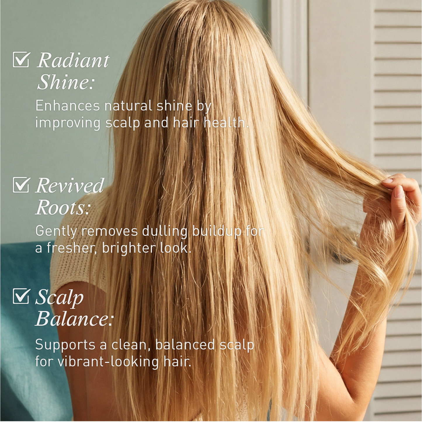 Voshbon Brighten Freeze-Dried Hair Wash Voshbon Beauty