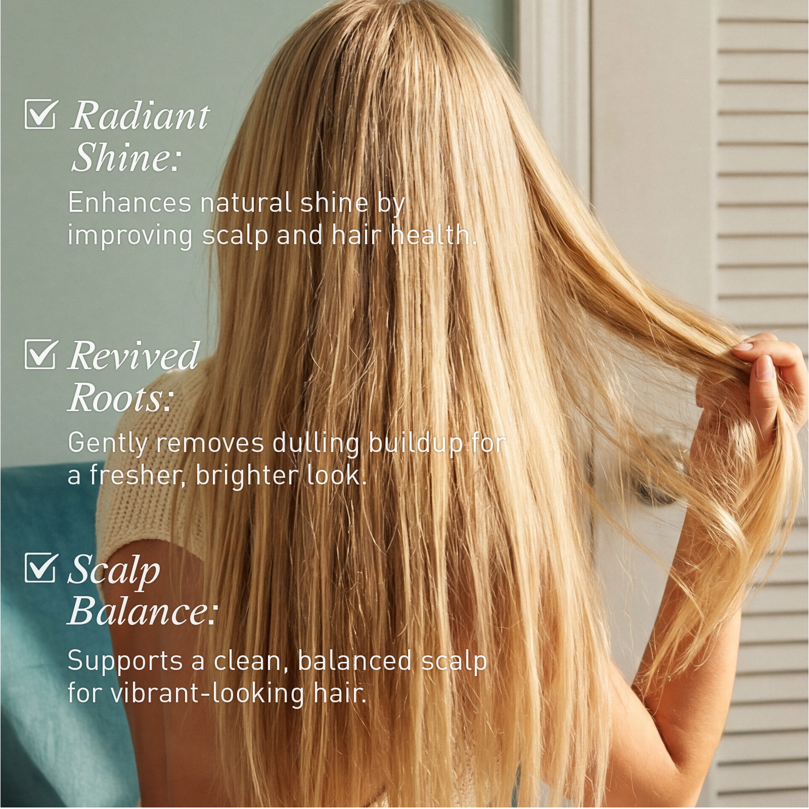 Voshbon Brighten Freeze-Dried Hair Wash Voshbon Beauty